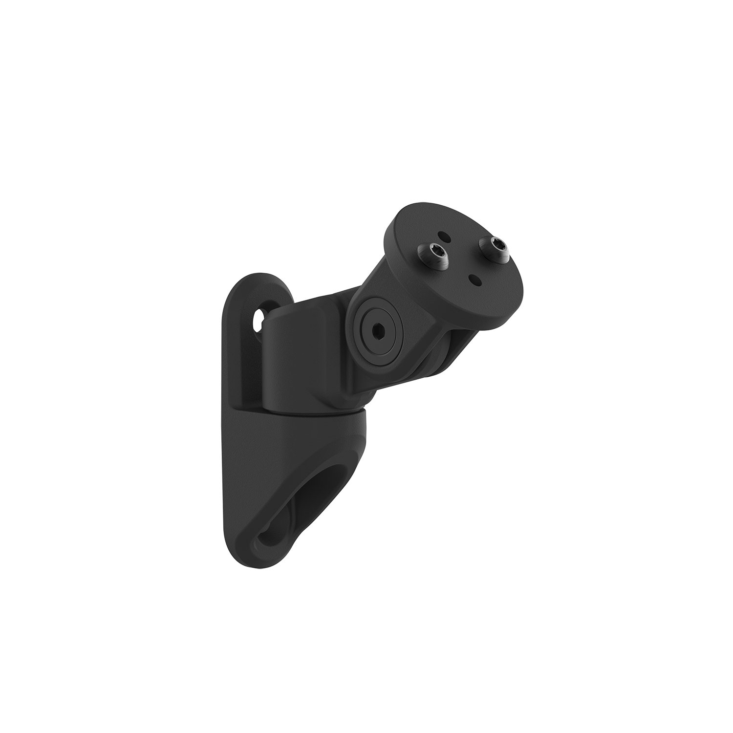 Redwood Mini Wall Mount Swivel