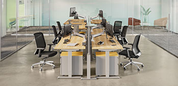 Government + Public Sector